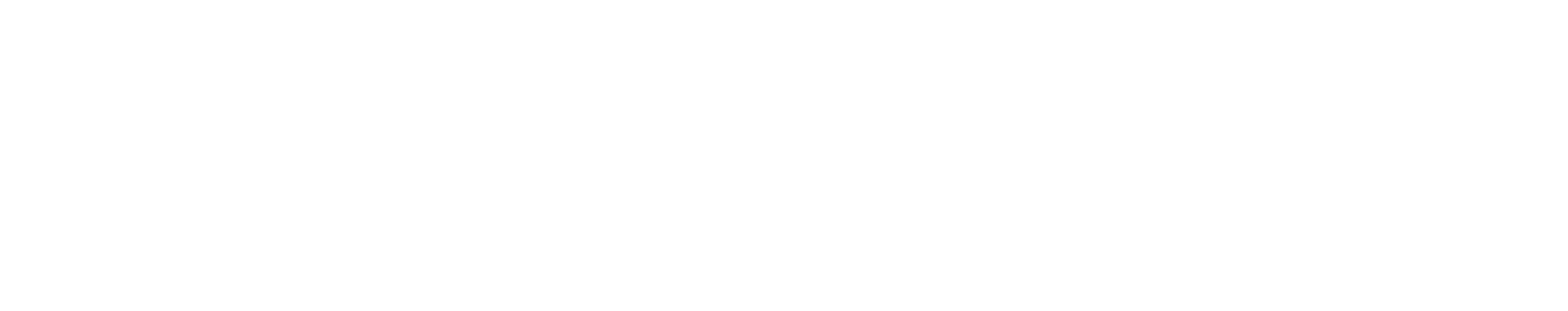 Seeds of steel plate back-up (Seedor)